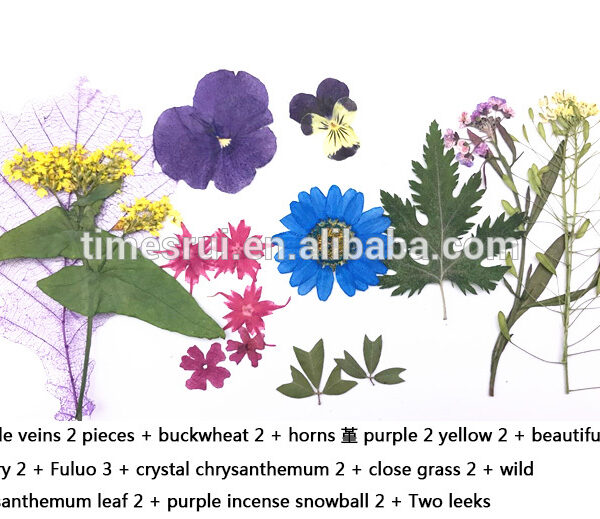 Natuurlijke kleine gedroogde bloemen